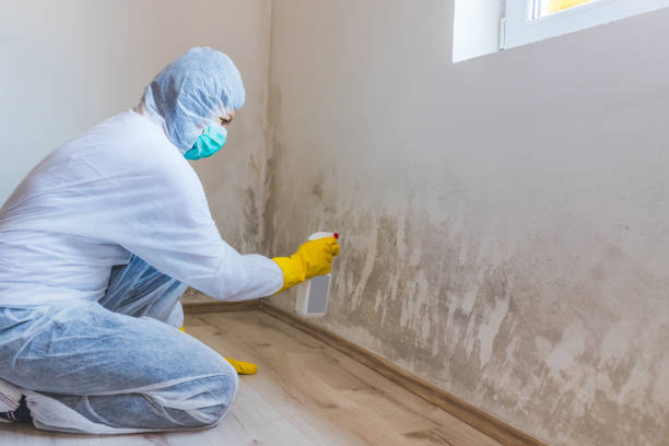 Licensed Commercial Mold Remediation service in Paris, VA - 24 Hour Mold Removal